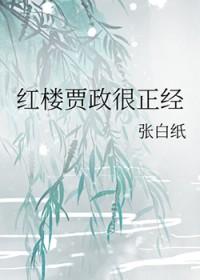 红楼之贾政123