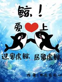 虎鲸keto