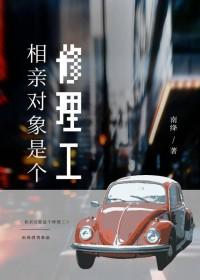 相亲对象是个修理工晋江