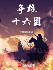 争雄十六国无错无防盗