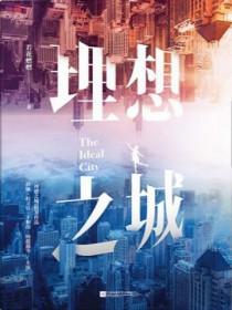 理想之城电视剧剧情介绍
