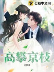 高攀京枝免费阅读