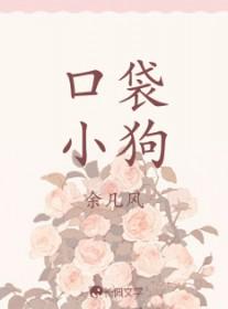 口袋小狗多少钱一只