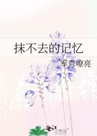 抹不去的回忆是什么意思