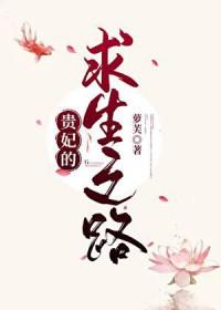 贵妃生存法则