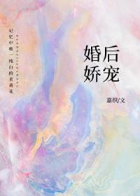 婚后娇宠全文免费阅读