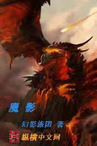 魔影锭
