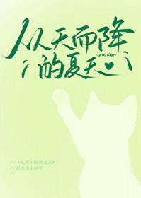 里面的歌曲是什么?