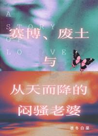 废土与赛博朋克
