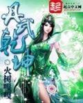 丹武乾坤校版