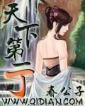 天下第一丁电视剧免费