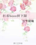 扛着boss拼下限完整版TXT