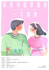 你是我最愚蠢的一次浪漫歌词