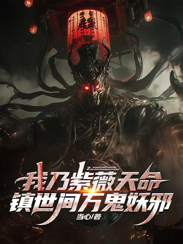 我乃紫薇天命