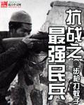 抗战之最强民兵TXT