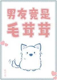 毛茸茸的少年