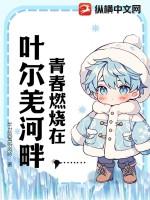 青春燃烧的岁月的意思