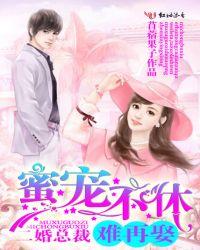蜜宠不休：二婚总裁难再娶