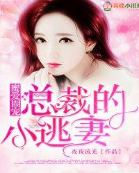蜜爱圈宠：总裁的小逃妻