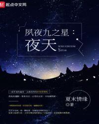 夙夜九之星—夜天