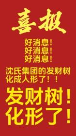 当发财树成为公司吉祥物后